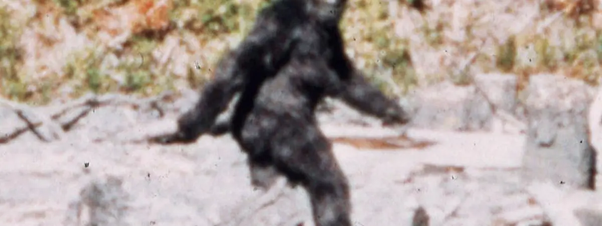 Bigfoot