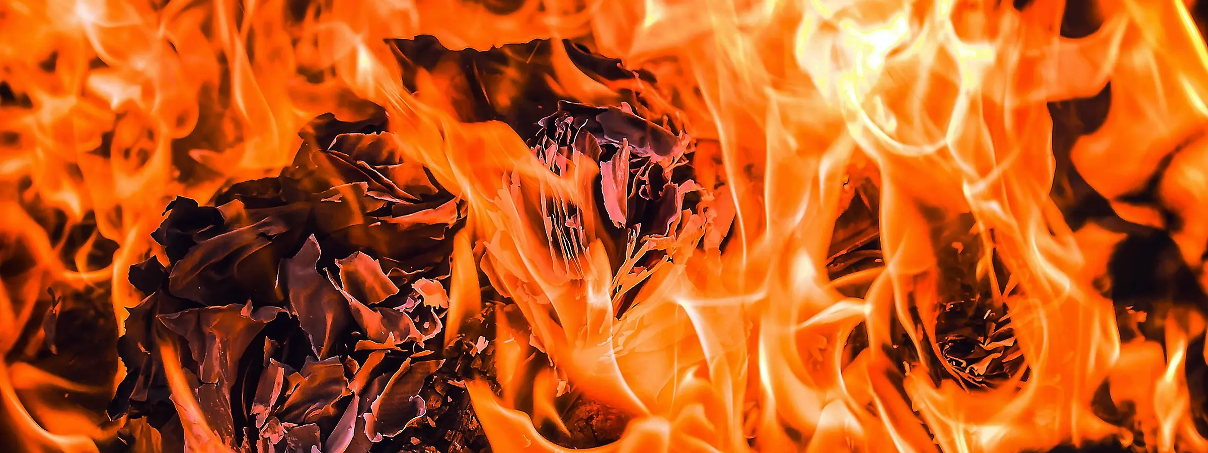 Burning books