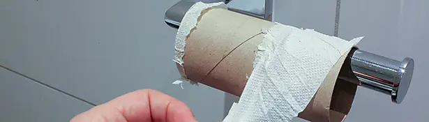 Last bit or toilet tissue on a roll