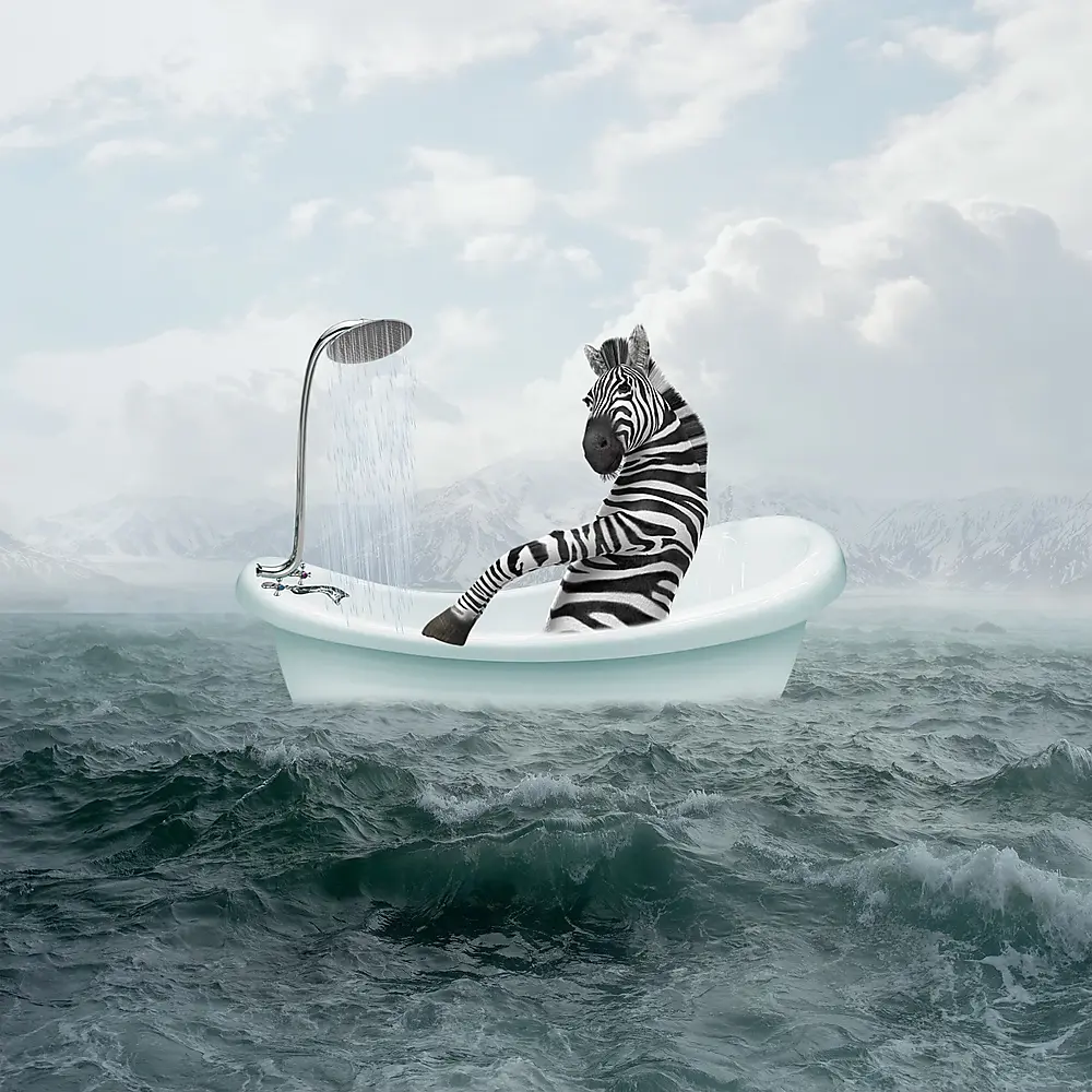 shower thoughts depicted as picture of zebra sitting in a bathtub in the open sea