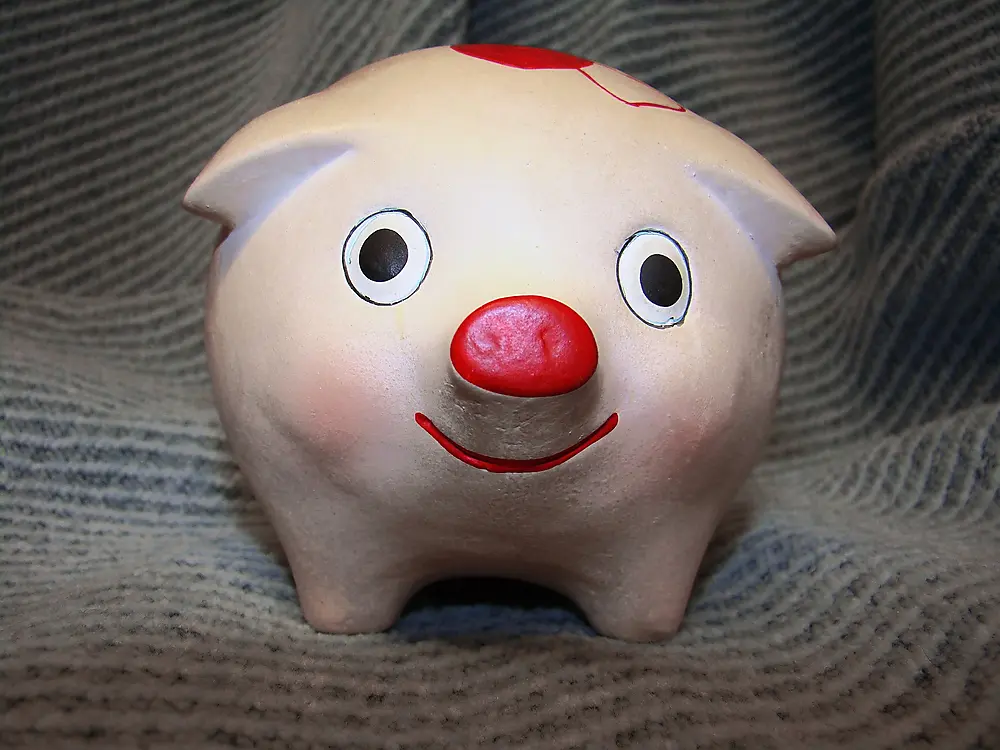 Piggy bank, self-publishing, self-published